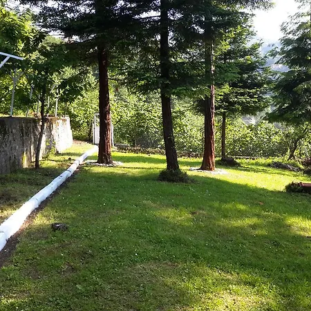 Sunset Village Garden