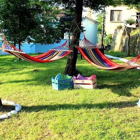 Sunset Village Garden