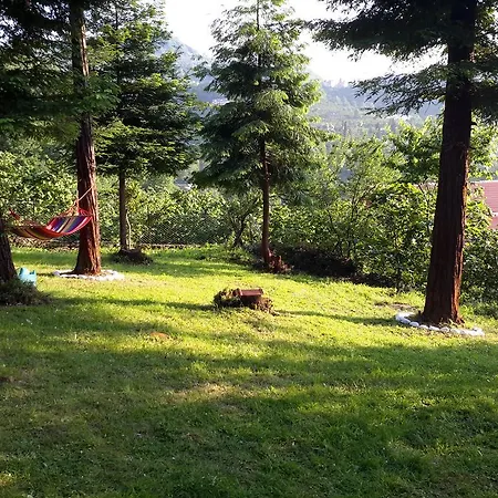 Holiday home Sunset Village Garden