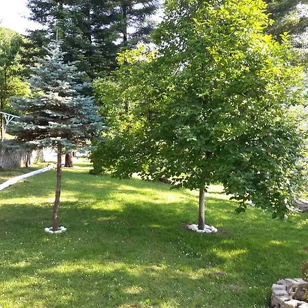 Sunset Village Garden