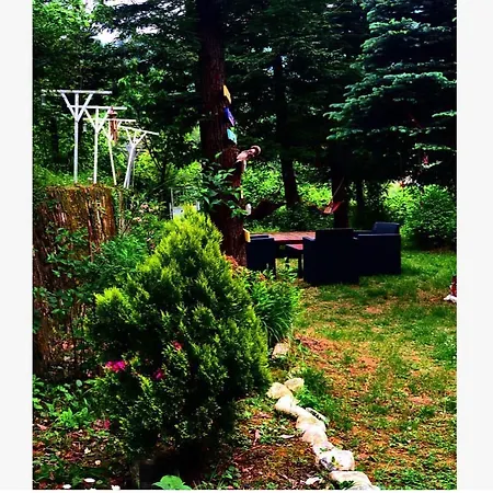Sunset Village Garden